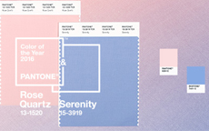 pantone prew